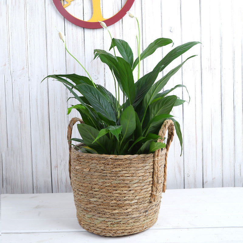 Rattan Flower Basket