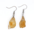 Natural Crystal Raw Stone Earrings