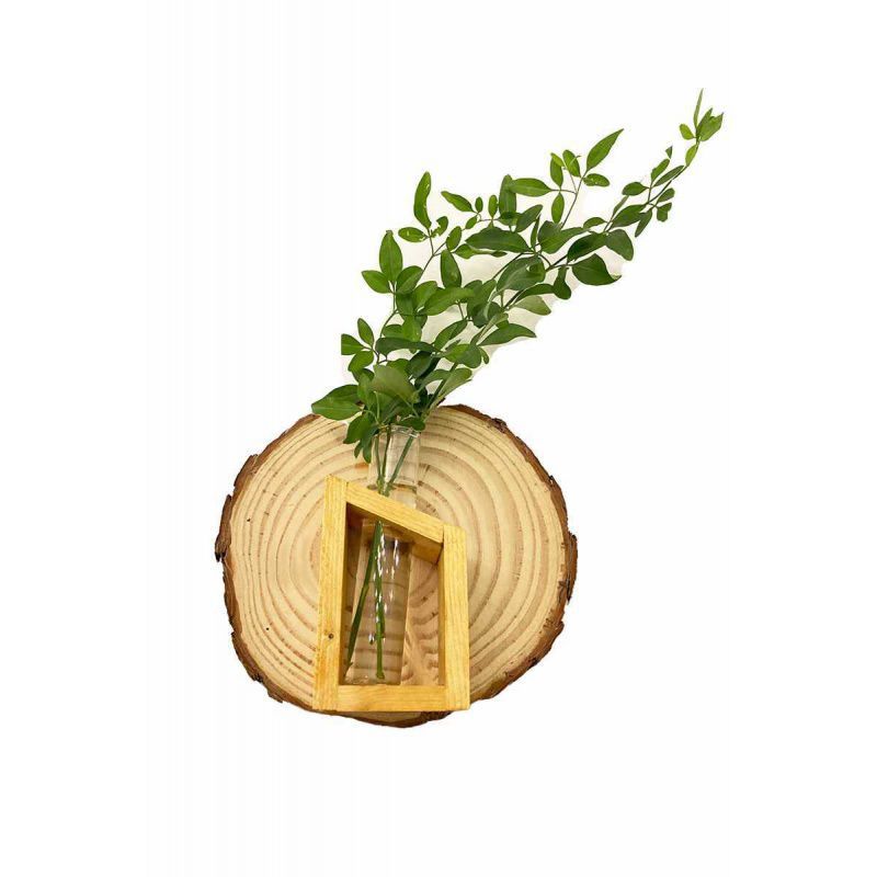 Natural Wood Wall Hanging Plant Shelf